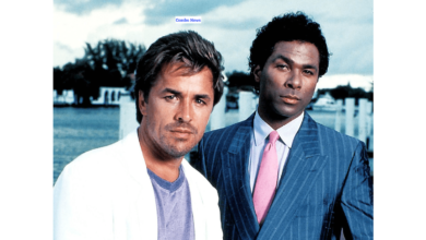 Facts About Miami Vice You Should Know