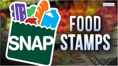 SNAP Is it the same as food stamps