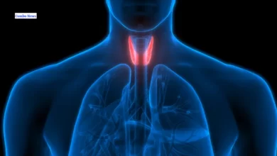 Symptoms of Thyroid - Key Facts