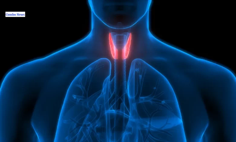 Symptoms of Thyroid - Key Facts