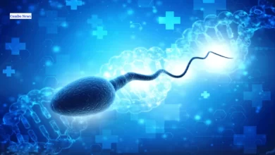 Is Obesity Linked with Male Infertility