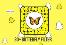 Butterflies Lens on Snapchat