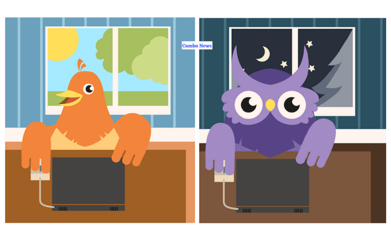 Night Owl vs Early Bird